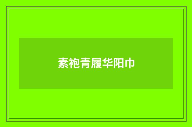 素袍青履华阳巾