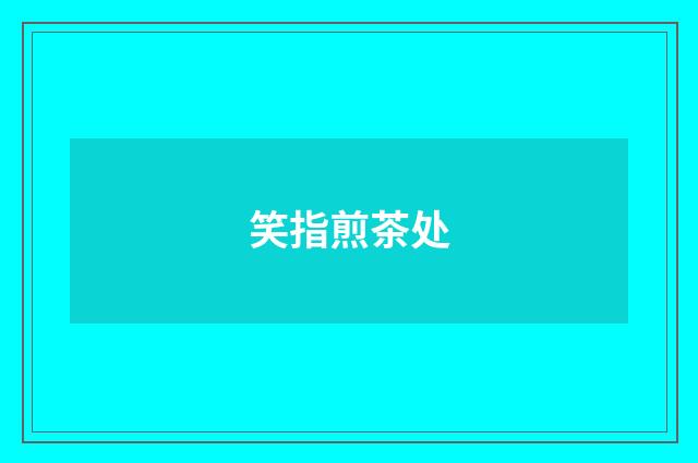 笑指煎茶处