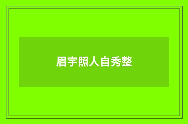 眉宇照人自秀整