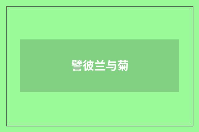 譬彼兰与菊