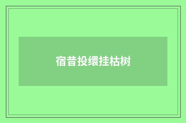 宿昔投缳挂枯树