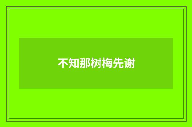 不知那树梅先谢