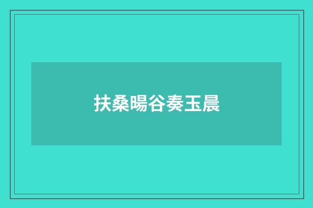 扶桑暘谷奏玉晨