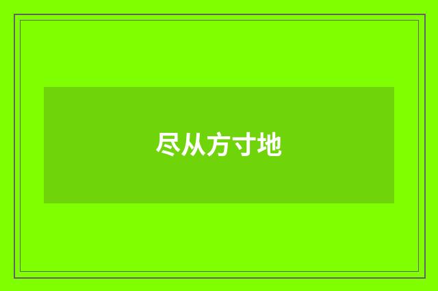 尽从方寸地