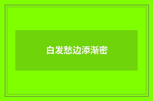 白发愁边添渐密