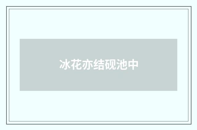 冰花亦结砚池中