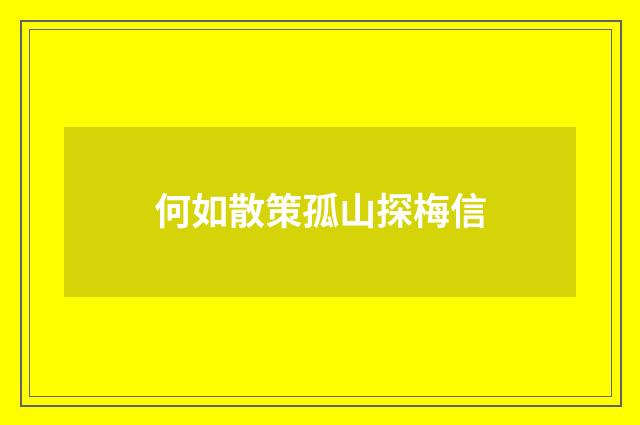何如散策孤山探梅信