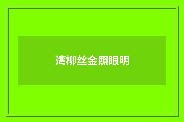 湾柳丝金照眼明