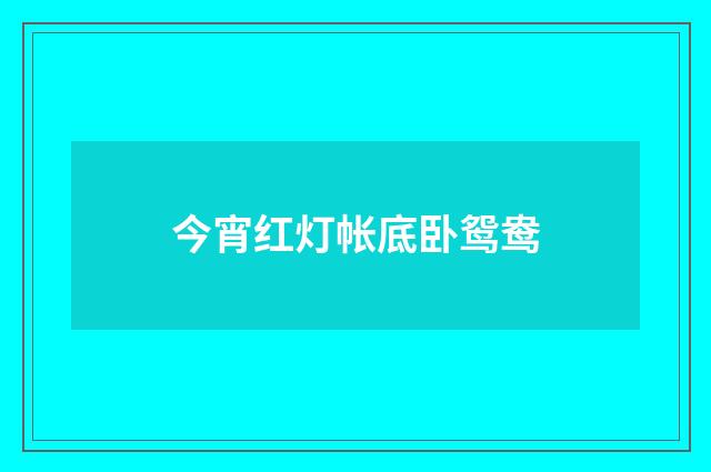 今宵红灯帐底卧鸳鸯