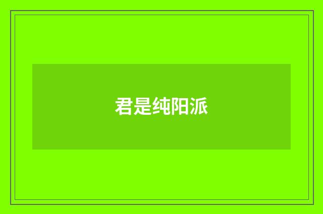 君是纯阳派