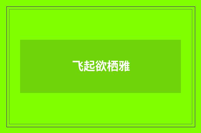 飞起欲栖雅