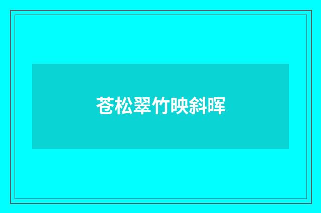 苍松翠竹映斜晖