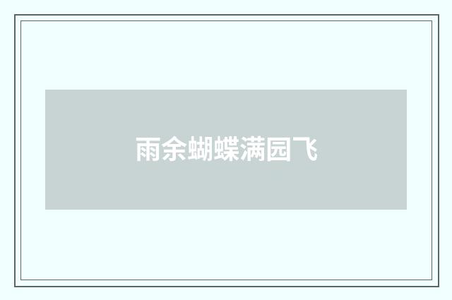 雨余蝴蝶满园飞