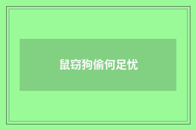 鼠窃狗偷何足忧