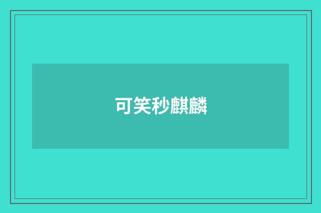 可笑秒麒麟