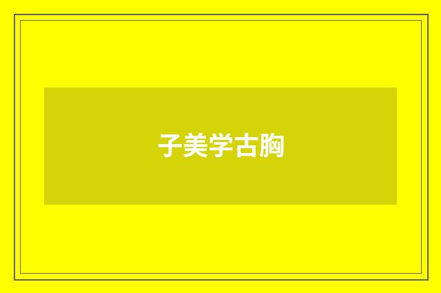 子美学古胸