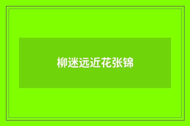 柳迷远近花张锦