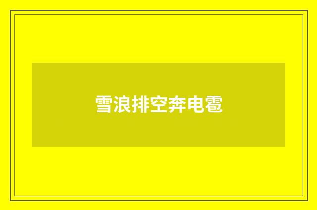 雪浪排空奔电雹