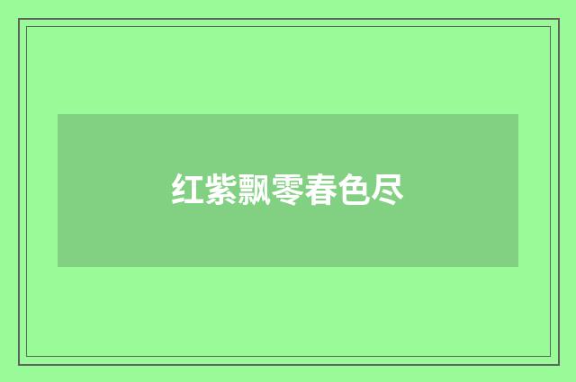 红紫飘零春色尽