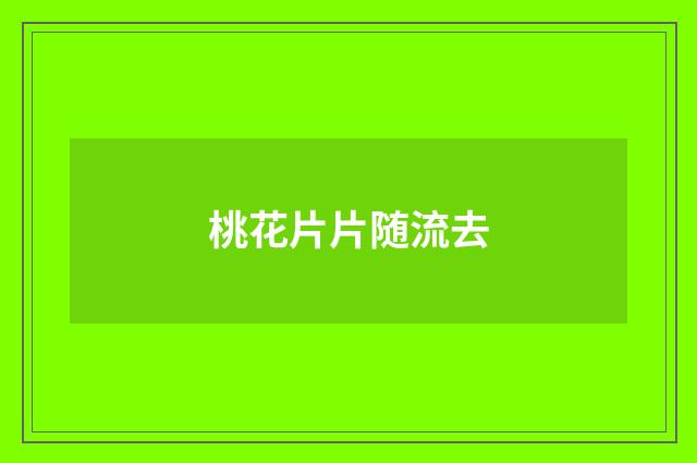 桃花片片随流去