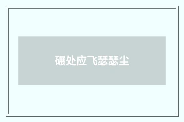 碾处应飞瑟瑟尘