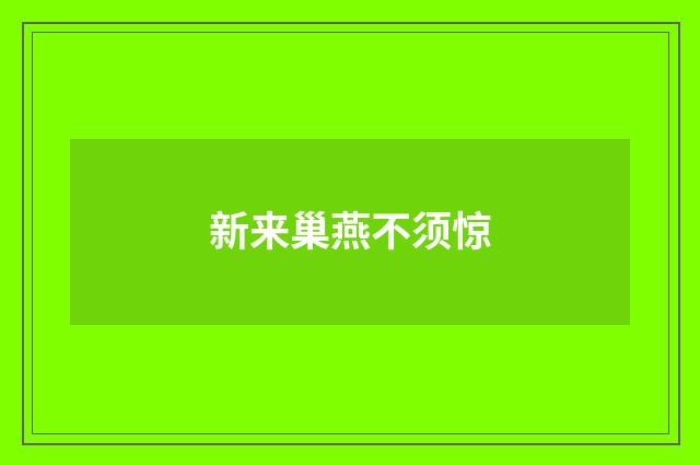 新来巢燕不须惊