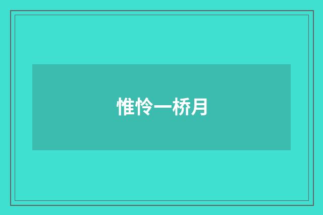惟怜一桥月