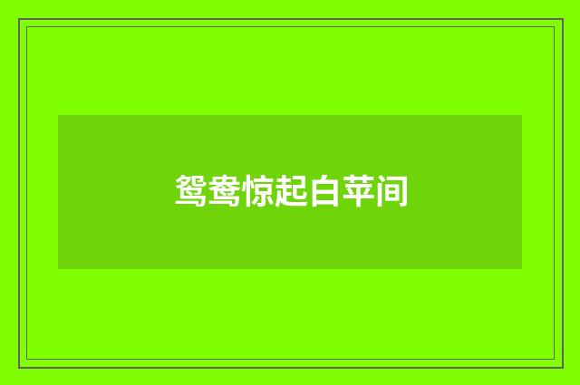 鸳鸯惊起白苹间