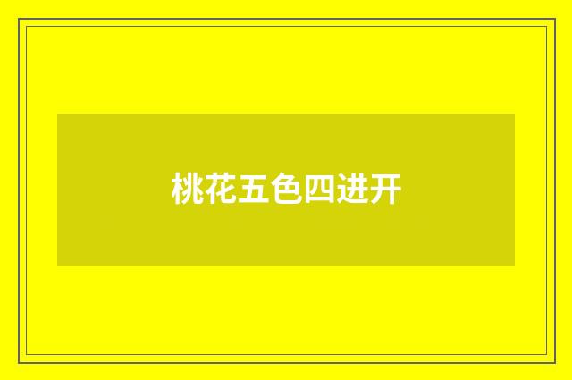 桃花五色四进开