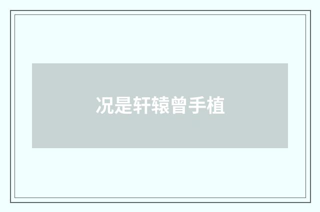 况是轩辕曾手植
