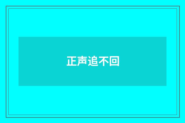 正声追不回