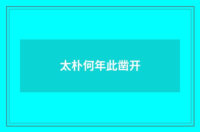 太朴何年此凿开