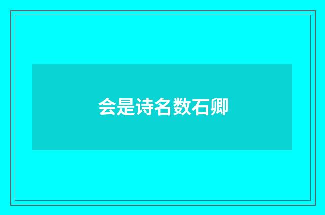 会是诗名数石卿