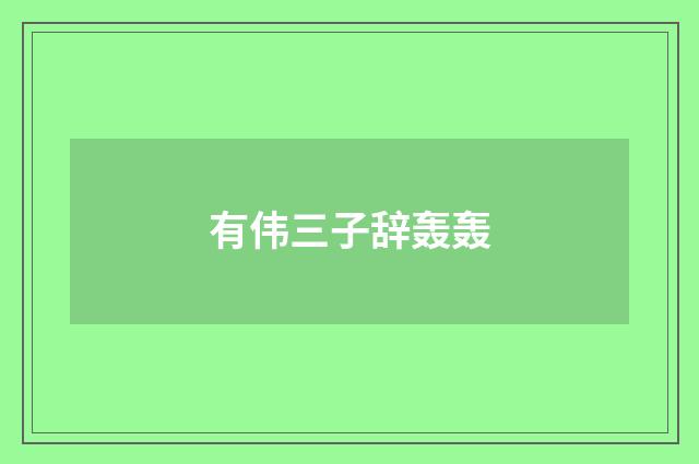 有伟三子辞轰轰