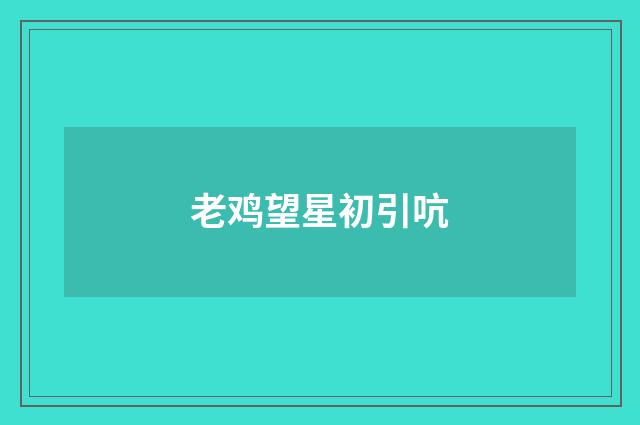 老鸡望星初引吭