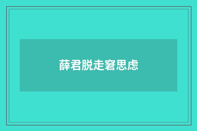 薛君脱走窘思虑