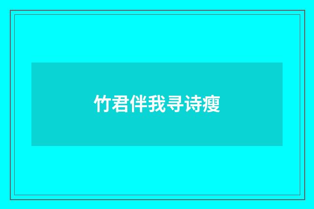 竹君伴我寻诗瘦