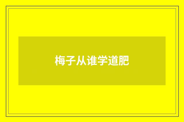 梅子从谁学道肥
