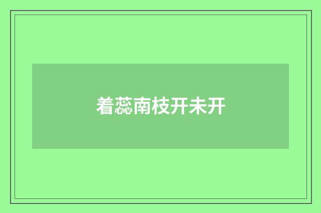 着蕊南枝开未开