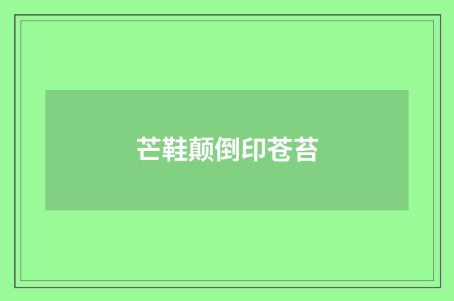 芒鞋颠倒印苍苔