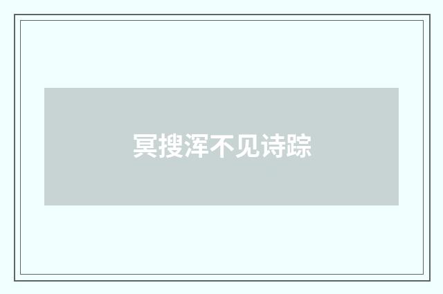 冥搜浑不见诗踪