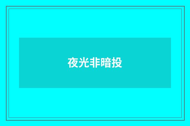 夜光非暗投