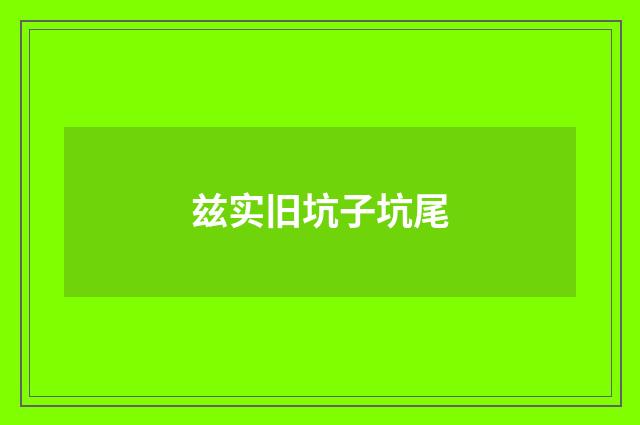 兹实旧坑子坑尾