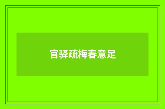 官驿疏梅春意足
