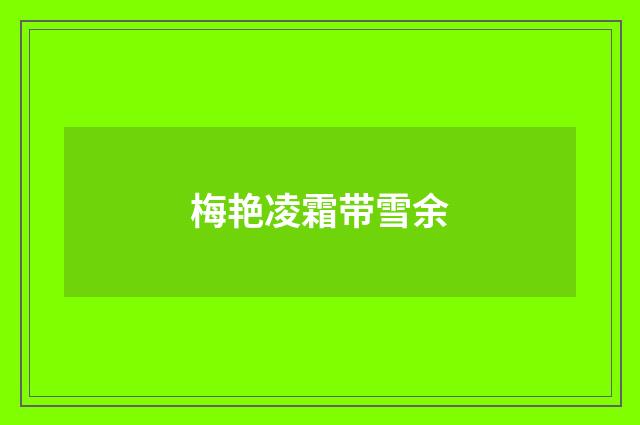 梅艳凌霜带雪余