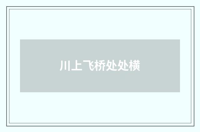 川上飞桥处处横