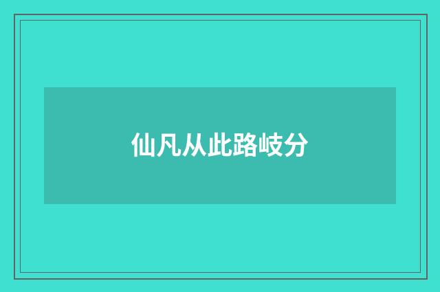 仙凡从此路岐分