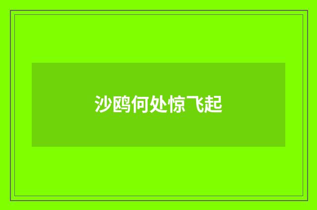 沙鸥何处惊飞起