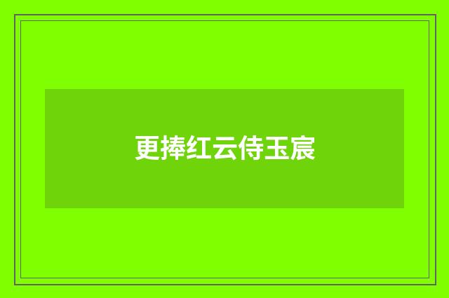 更捧红云侍玉宸