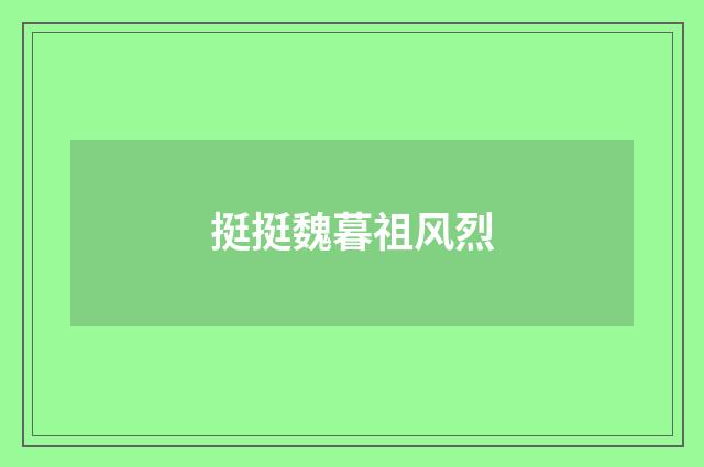 挺挺魏暮祖风烈